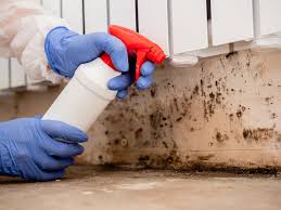 Best Residential Mold Inspection & Testing  in Preston, IA